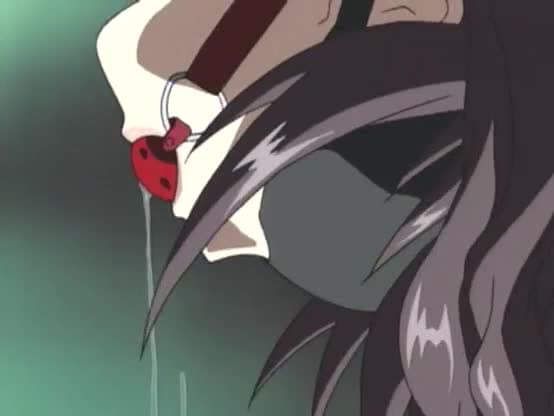 Pigeon blood 1